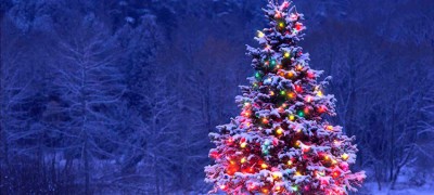 Скидки на участки ИЖС до 31 января 2017! Скидки на участки ИЖС до 31 января 2017!